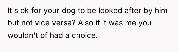 It's ok for your dog to be looked after by...