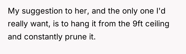 My suggestion to her, and the only one I'd really...