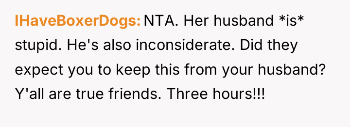 IHaveBoxerDogs NTA. Her husband *is* stupid. He's also inconsiderate. Did...