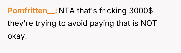 Pomfritten__ NTA that's fricking 3000$ they're trying to avoid paying...
