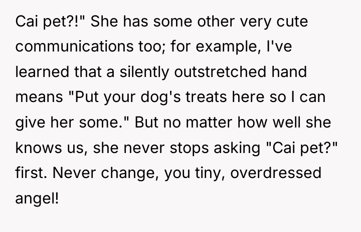 Cai pet?!" She has some other very cute communications too;...