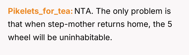 Pikelets_for_tea NTA. The only problem is that when step-mother returns...