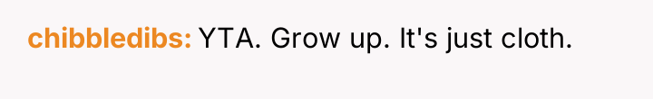 chibbledibs YTA. Grow up. It's just cloth.
