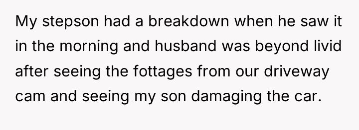 My stepson had a breakdown when he saw it in...