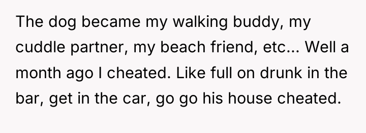 The dog became my walking buddy, my cuddle partner, my...