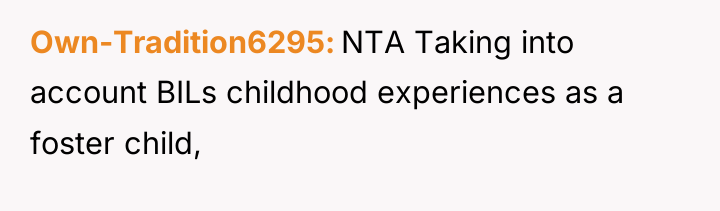 Own-Tradition6295 NTA Taking into account BILs childhood experiences as a...