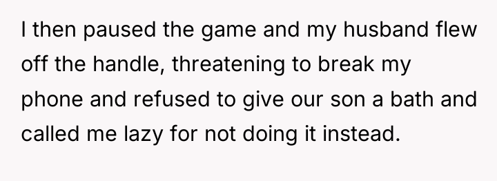 I then paused the game and my husband flew off...