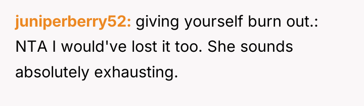 juniperberry52 giving yourself burn out.: NTA I would've lost it...