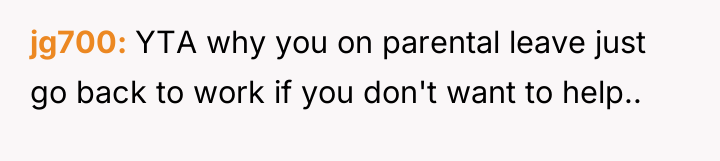 jg700 YTA why you on parental leave just go back...