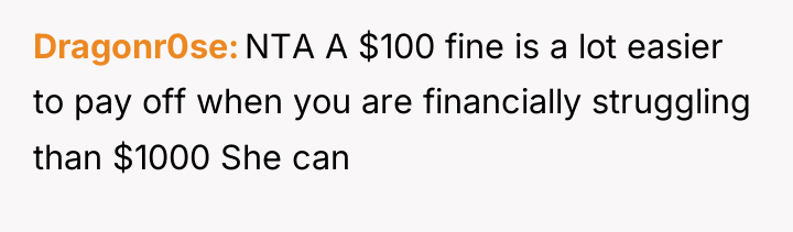 Dragonr0se NTA A $100 fine is a lot easier to...