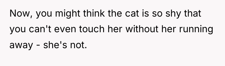 Now, you might think the cat is so shy that...