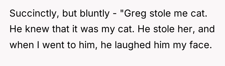 Succinctly, but bluntly - "Greg stole me cat. He knew...