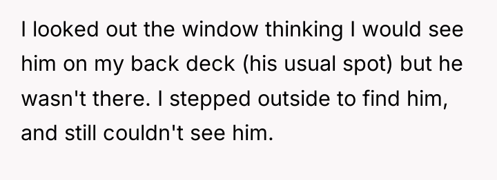 I looked out the window thinking I would see him...