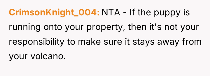 CrimsonKnight_004 NTA - If the puppy is running onto your...