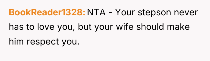 BookReader1328 NTA - Your stepson never has to love you,...
