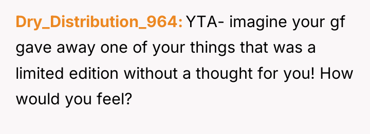 Dry_Distribution_964 YTA- imagine your gf gave away one of your...