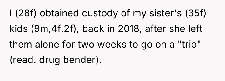 I (28f) obtained custody of my sister's (35f) kids (9m,4f,2f),...