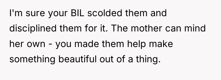 I'm sure your BIL scolded them and disciplined them for...