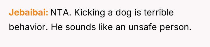 Jebaibai NTA. Kicking a dog is terrible behavior. He sounds...