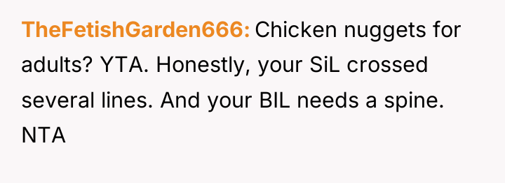 TheFetishGarden666 Chicken nuggets for adults? YTA. Honestly, your SiL crossed...