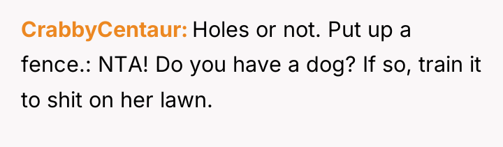 CrabbyCentaur Holes or not. Put up a fence.: NTA! Do...