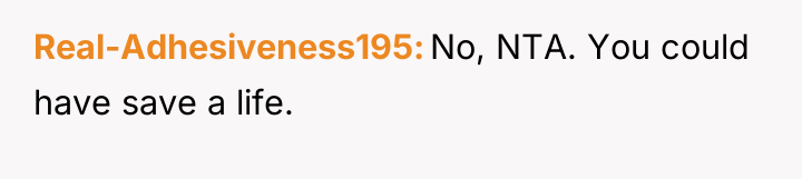 Real-Adhesiveness195 No, NTA. You could have save a life.