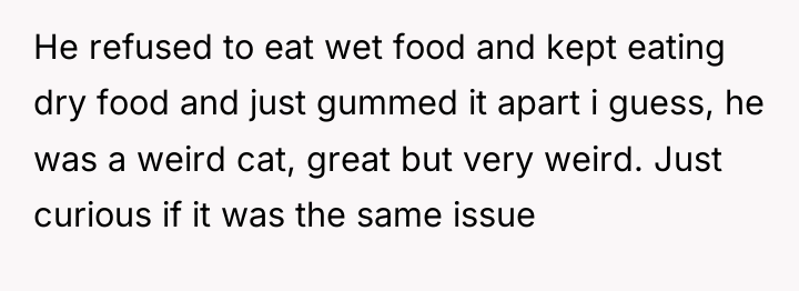 He refused to eat wet food and kept eating dry...