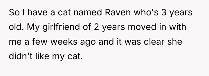 So I have a cat named Raven who's 3 years...
