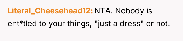 Literal_Cheesehead12 NTA. Nobody is ent*tled to your things, "just a...