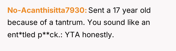 No-Acanthisitta7930 Sent a 17 year old because of a tantrum....