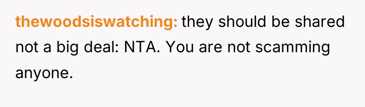 thewoodsiswatching they should be shared not a big deal: NTA....