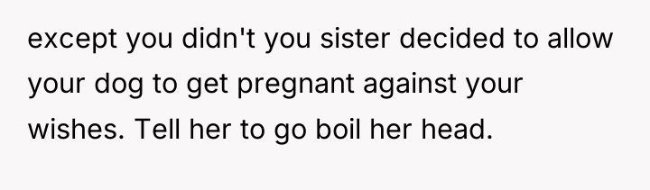except you didn't you sister decided to allow your dog...