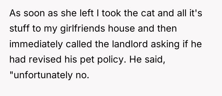 As soon as she left I took the cat and...