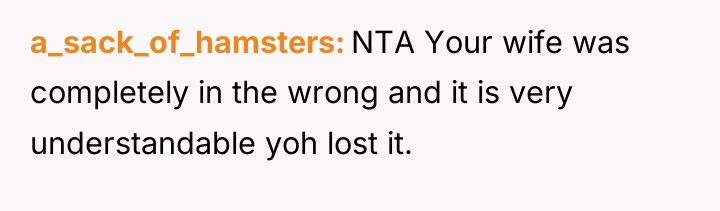 a_sack_of_hamsters NTA Your wife was completely in the wrong and...