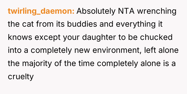 twirling_daemon Absolutely NTA wrenching the cat from its buddies and...