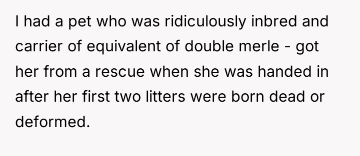 I had a pet who was ridiculously inbred and carrier...