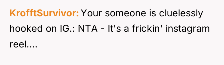KrofftSurvivor Your someone is cluelessly hooked on IG.: NTA -...