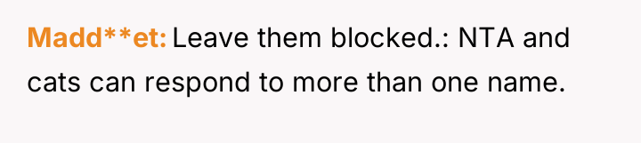 Madd**et Leave them blocked.: NTA and cats can respond to...