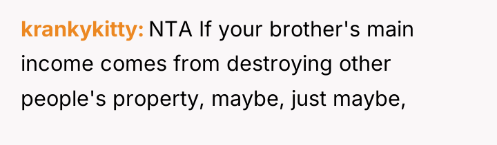 krankykitty NTA If your brother's main income comes from destroying...
