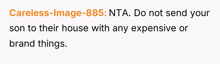 Careless-Image-885 NTA. Do not send your son to their house...