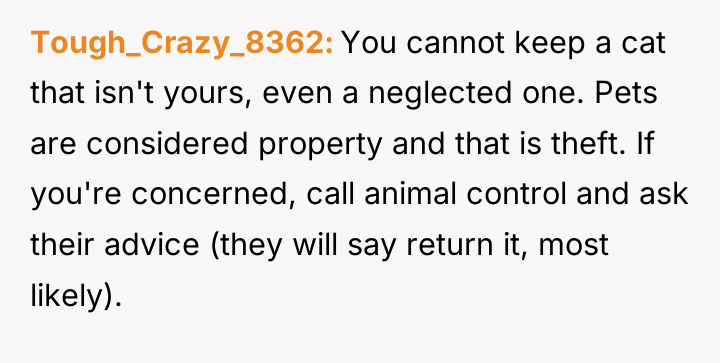 Tough_Crazy_8362 You cannot keep a cat that isn't yours, even...