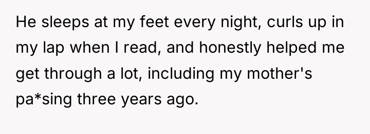 He sleeps at my feet every night, curls up in...