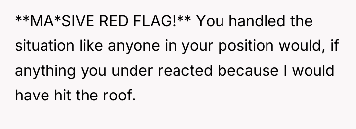 **MA*SIVE RED FLAG!** You handled the situation like anyone in...