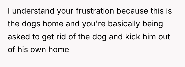 I understand your frustration because this is the dogs home...