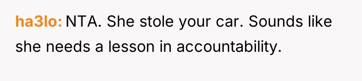 ha3lo NTA. She stole your car. Sounds like she needs...
