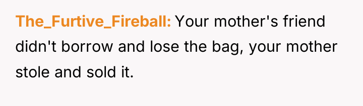The_Furtive_Fireball Your mother's friend didn't borrow and lose the bag,...