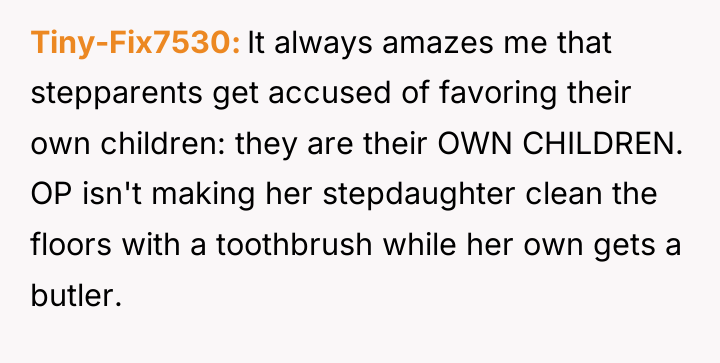 Tiny-Fix7530 It always amazes me that stepparents get accused of...