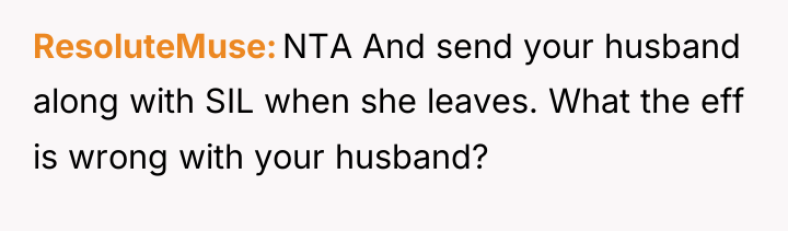 ResoluteMuse NTA And send your husband along with SIL when...