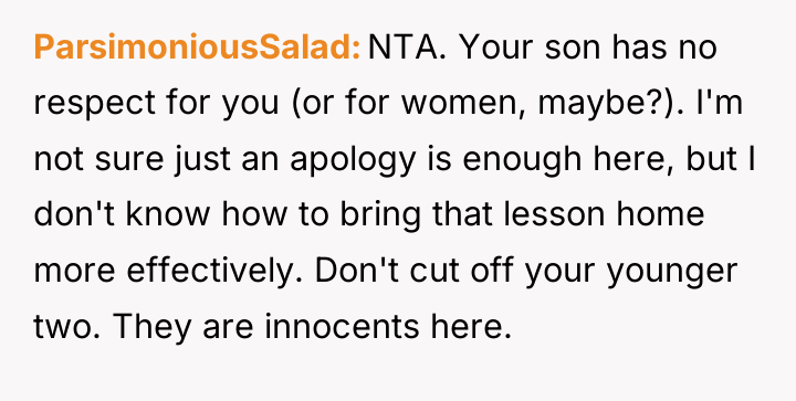 ParsimoniousSalad NTA. Your son has no respect for you (or...