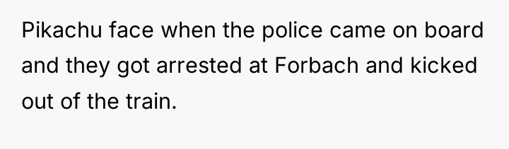 Pikachu face when the police came on board and they...